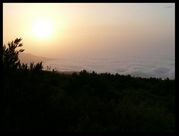 608x457 pixels (120K)